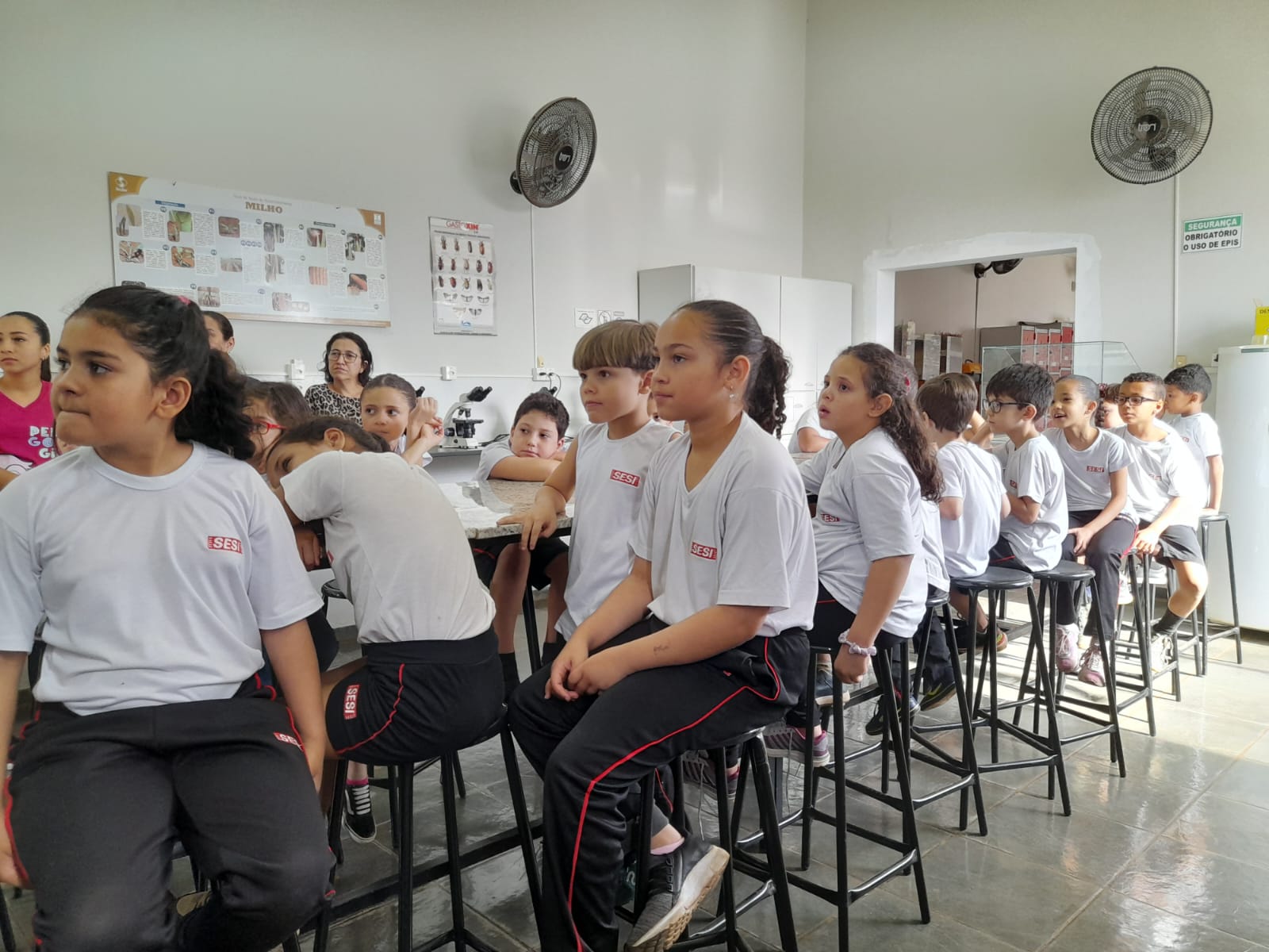 Estudantes do SESI visitam projeto sobre formigas cortadeiras na Faculdade Municipal de Bebedouro